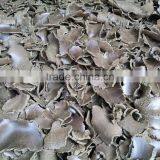 Cotton Seed Meal thumbnail-5