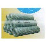 Hexagonal Wire Netting