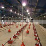 Big & Economic Light Prefab Steel Structure Chicken House thumbnail-1