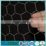 Hexagonal Stainless Steel Weaving Wire Netting