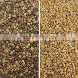 Excellent Quality and Good After-sale Soybean Slices Color Sorter thumbnail-2