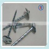 Hot Dip Galvanized Umbrella Head Roofing Nails With Smooth Shank or Twisted Shank thumbnail-1