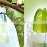 Nonwoven Fabric for Fruit Cover thumbnail-1