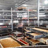 100% Natural and High Quality Fish Feed Dried Mealworms thumbnail-3