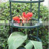 Easy Assembly Cheap Garden Plastic Tamato &flower Support thumbnail-1