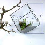 Tabletop Minimalist Decorate Geometric Cube Glass Terrarium thumbnail-5