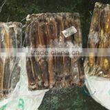 Frozen Illex Squid From CHINA 200-300G thumbnail-4