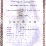 Gracilaria Seaweed thumbnail-6