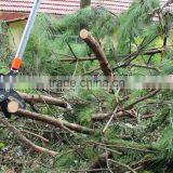 Telescopic Alum Anvil Pruner Garden Tools thumbnail-2