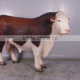 Hereford Bull thumbnail-1