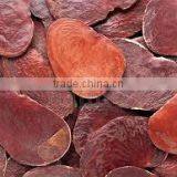 Butea Monosperma thumbnail-3