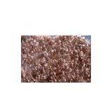 Sell Fleece Blanket Fabric thumbnail-1