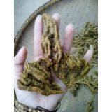 Supply of Medicinal Materials in Western Hubei Mountain Area Treasure Chicken Feet Coptis Zadeh Super Series Rare Traditional Chinese Medicinal Materials thumbnail-2
