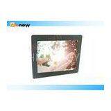 High Brightness Monitor 17\