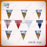 Durable Triangle Fabric Bunting Flags for Swimming Club thumbnail-5