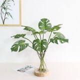 High Quality Artificial Plant Photography Props Real Touch Latex Turtle Leaf thumbnail-2