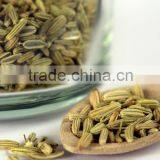 Fennel Seed thumbnail-1