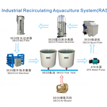 DECO RAS Recirculating Aquaculture System for Indoor Fish Farm thumbnail-2