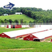 Qingdao Fabricated Steel Frame Poultry Farm House Business Plan Building for Chicken Shed thumbnail-3
