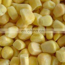 Wholesale IQF Frozen Sweet Corn thumbnail-2