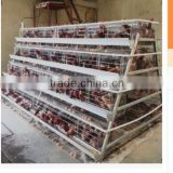 A type & H type chicken laying hen layer cage/cage for laying hen used