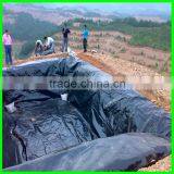 High Density Plastic Waterproofing Membrane Polethylene Geomembrane thumbnail-3