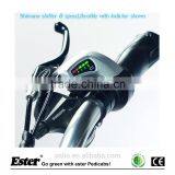 Electric ESTER Tricycle Rickshaw With LED Light 8 FUN Motor thumbnail-3