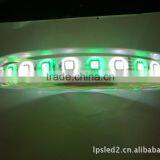 New Arrival! 5050 12v/24v Rgbw LED Strips Made in China