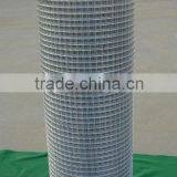 Galvanized Welded Wire Mesh