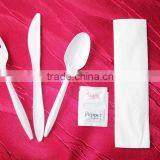 Heavy Weight Disposable Plastic Tableware Spoon Knife Fork Set