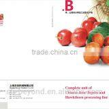 Jujube(Dates) Fruit Juice Processing Line thumbnail-1