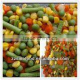 Cheap Food Canned Mixed Vegetable Canned Food