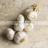 Supply Jinxiang Pure White Garlic/Normal White Garlic thumbnail-3