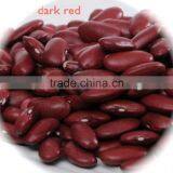JSX Bulk Factory Supply Red Kidney Bean Origin Food Grade Red Beans Kidney Beans thumbnail-2