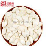 Chinese Best Price White Pumpkin Seeds thumbnail-3