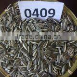 Export American Type Sunflower Seeds thumbnail-3