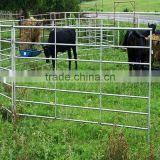 Cattle Panel for Pole Beans