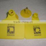Ear Tag thumbnail-1