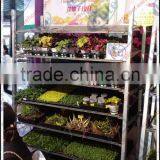 Display Flower Pot Shelf Rack With Caster thumbnail-5