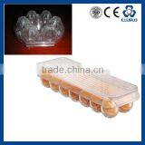 PP PS PE PET EGG Egg Tray Making Machine thumbnail-5