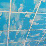 Paper Faced (Plaster Wall) /PVC Laminated Gypsum/Ceiling Gypsum Board