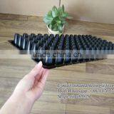 Not Coated Black PS Material Plastic Plant Nursery Seedling Tray for Vegetable Seed Propagator thumbnail-3