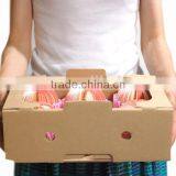 Promotional 3D Fruit Apple, Pear Watermelon Shaped Wholesale Note Paper Fruit Memo Pad thumbnail-3