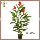 Red Flowers Blossoming Banana Plant Artificial thumbnail-1