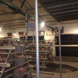 Chicken Cages thumbnail-1