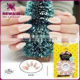 NEWAIR newest acrylic full cover nail art tips with glue