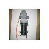 Battery Sprayer Pump thumbnail-1