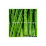 Frozen IQF Green Asparagus thumbnail-1