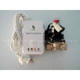 Supply AC 230V Methane Gas Detector With Solenoid Valve DN20 thumbnail-3