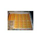 Shangtang Orange thumbnail-3